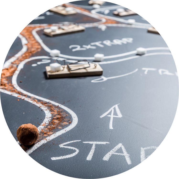 Proje Analizi & Yol Haritası