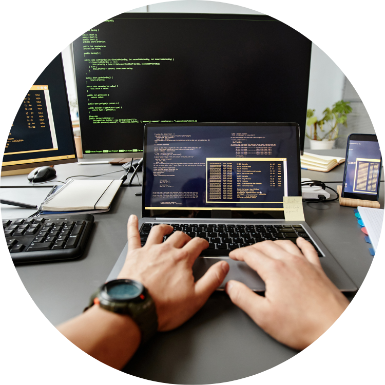 Test, Canlıya Geçiş & Teslim